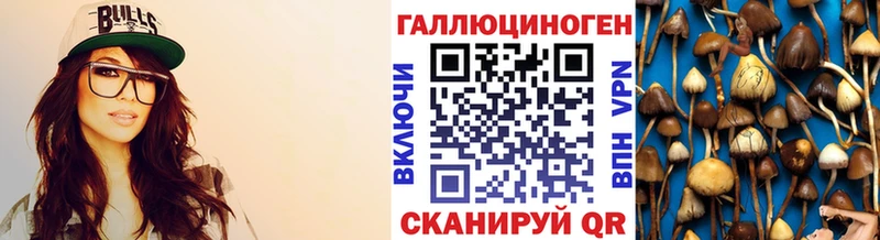 Галлюциногенные грибы Psilocybe  Топки 