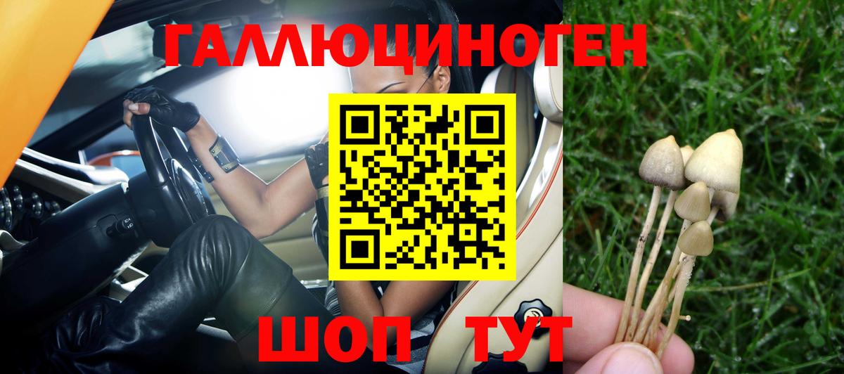 Галлюциногенные грибы Magic Shrooms Топки